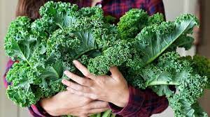 Sayuran Hijau yang Bisa Membantu Mencegah Diabetes