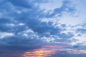 Fenomena Viral yang Sedang Heboh di TikTok dan Twitter