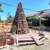 Pohon Natal Kreatif dari Kulit Kerang Pecahkan Rekor MURI